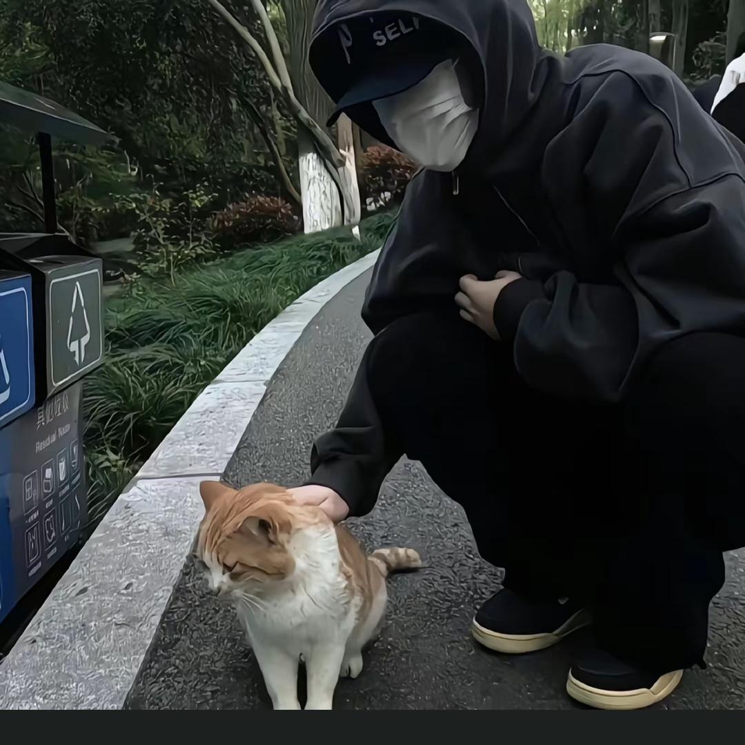 十一