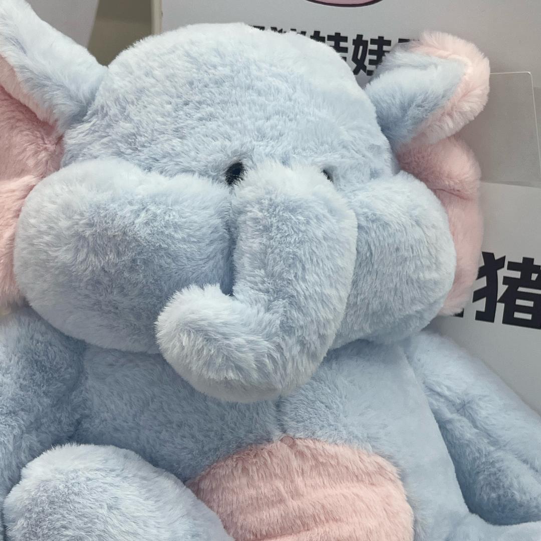 每天好物分享