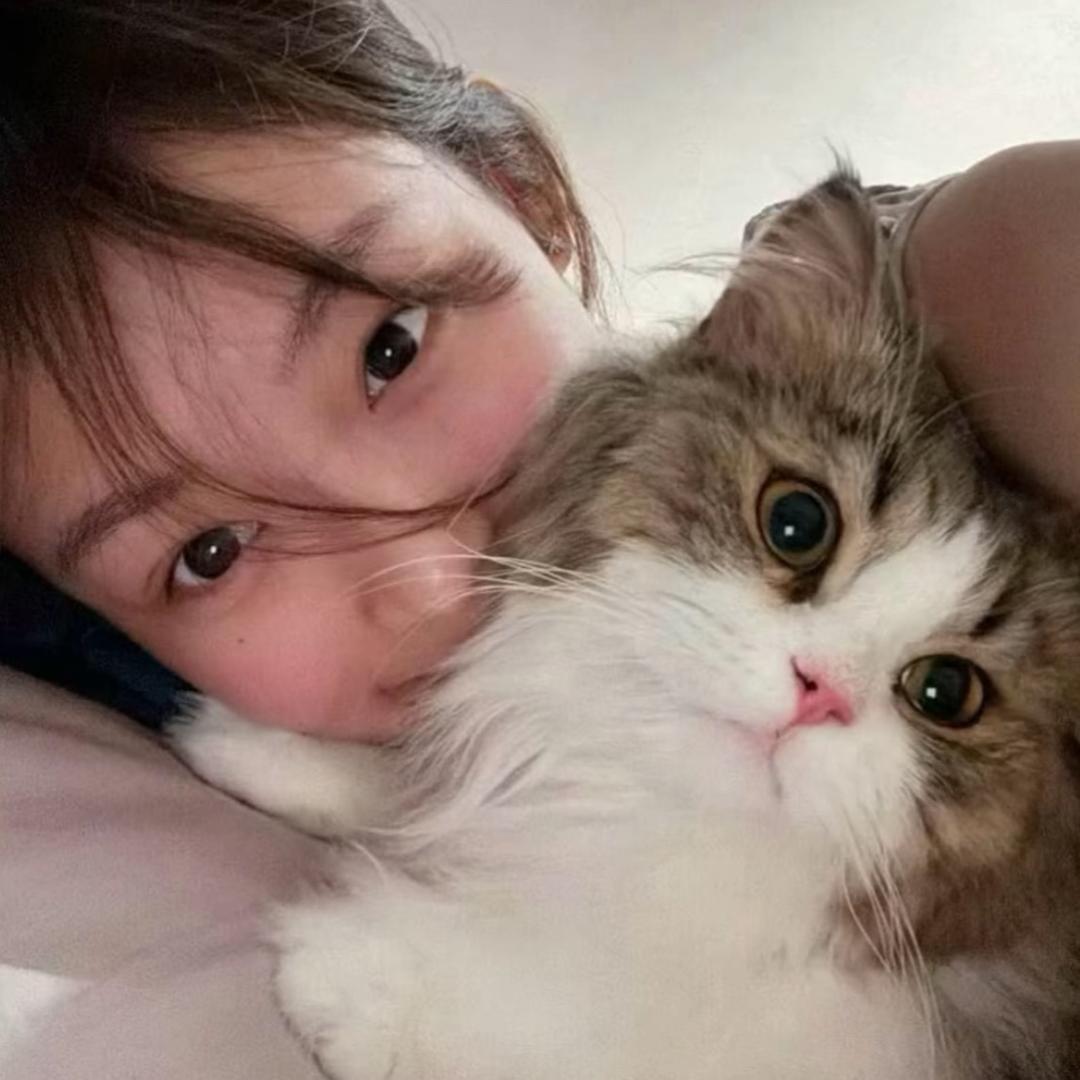 珰珰