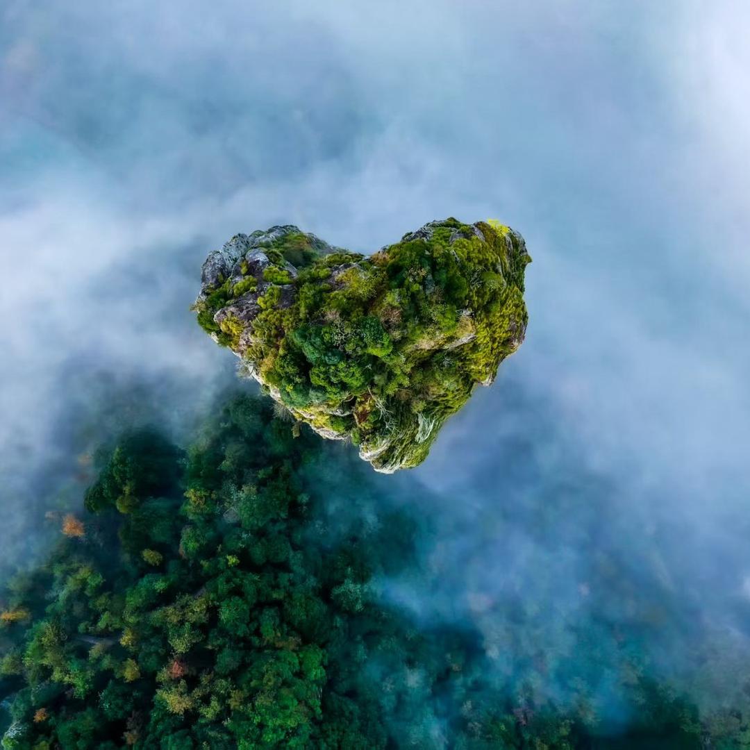 陈星星（陪拍版）