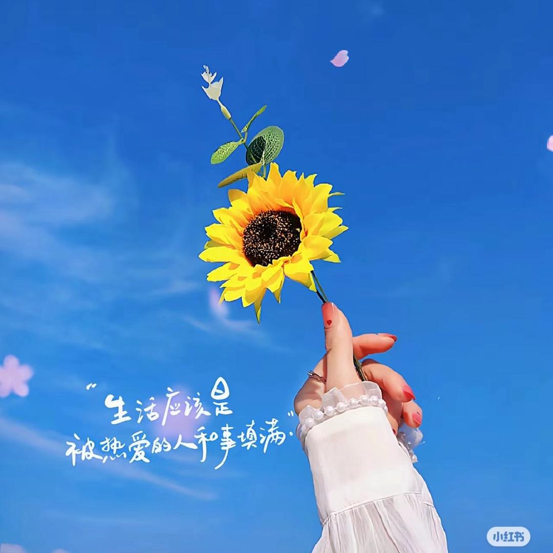 浪鲸卫浴～王霞
