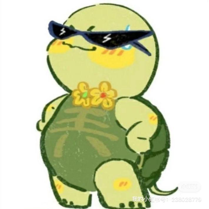 池浅王八绿