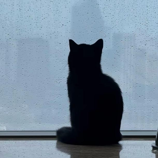 No Rain.