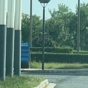 用户156451231634156