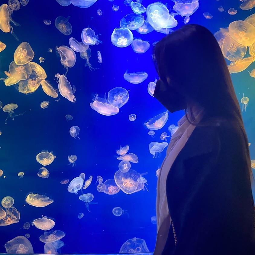 星球球在韩国