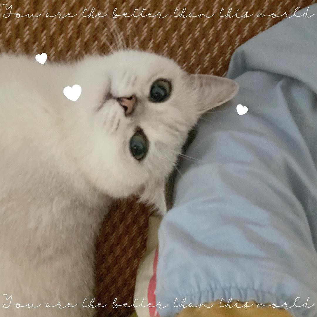 暴躁小禾子
