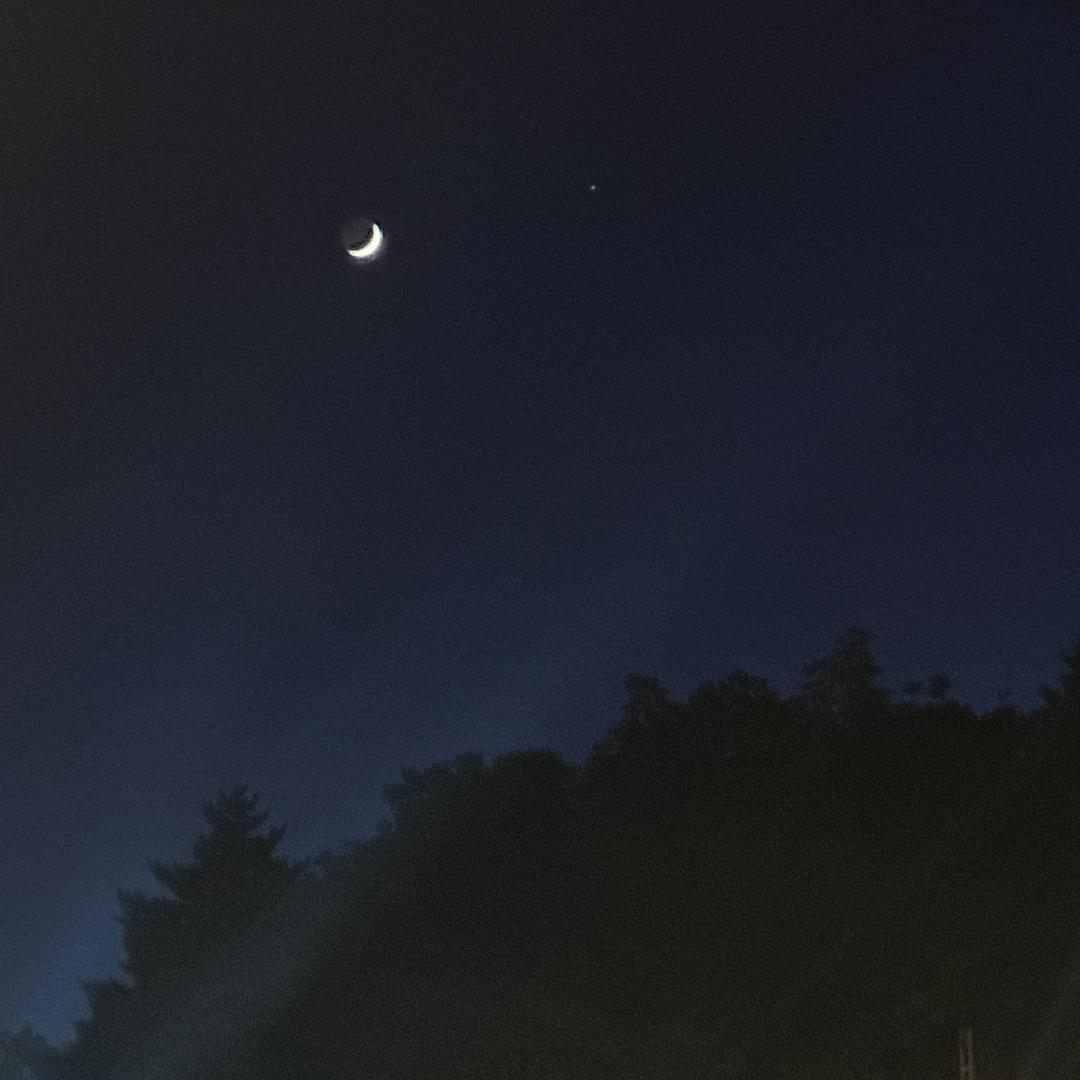小篱笆