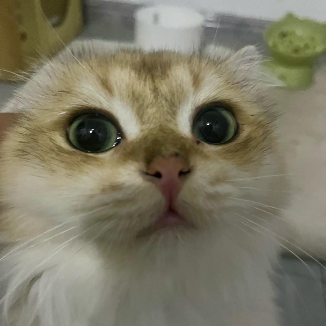 孙哈哈
