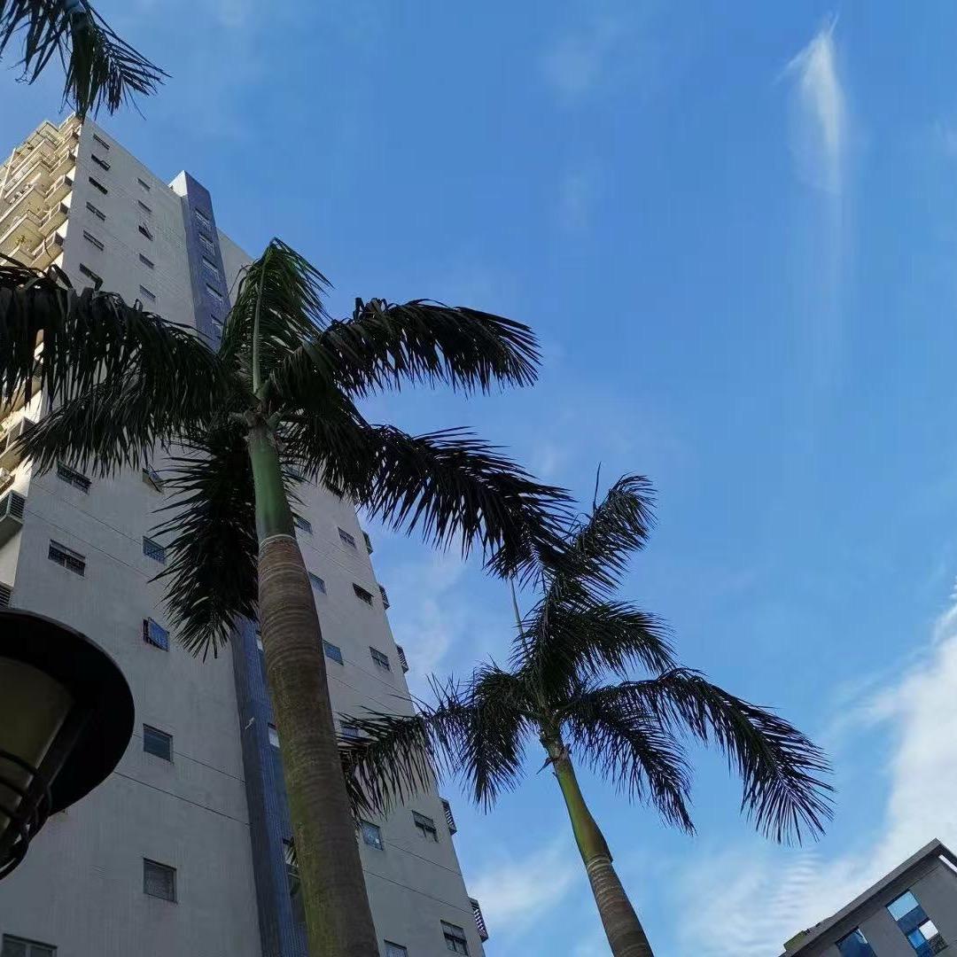 小肥（生活号）