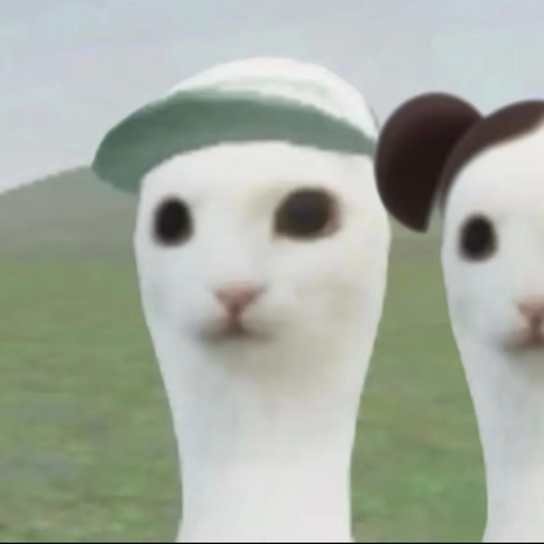 ᑋᵉᑊᑊᵒ77