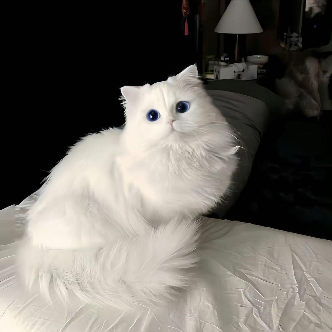 Uu