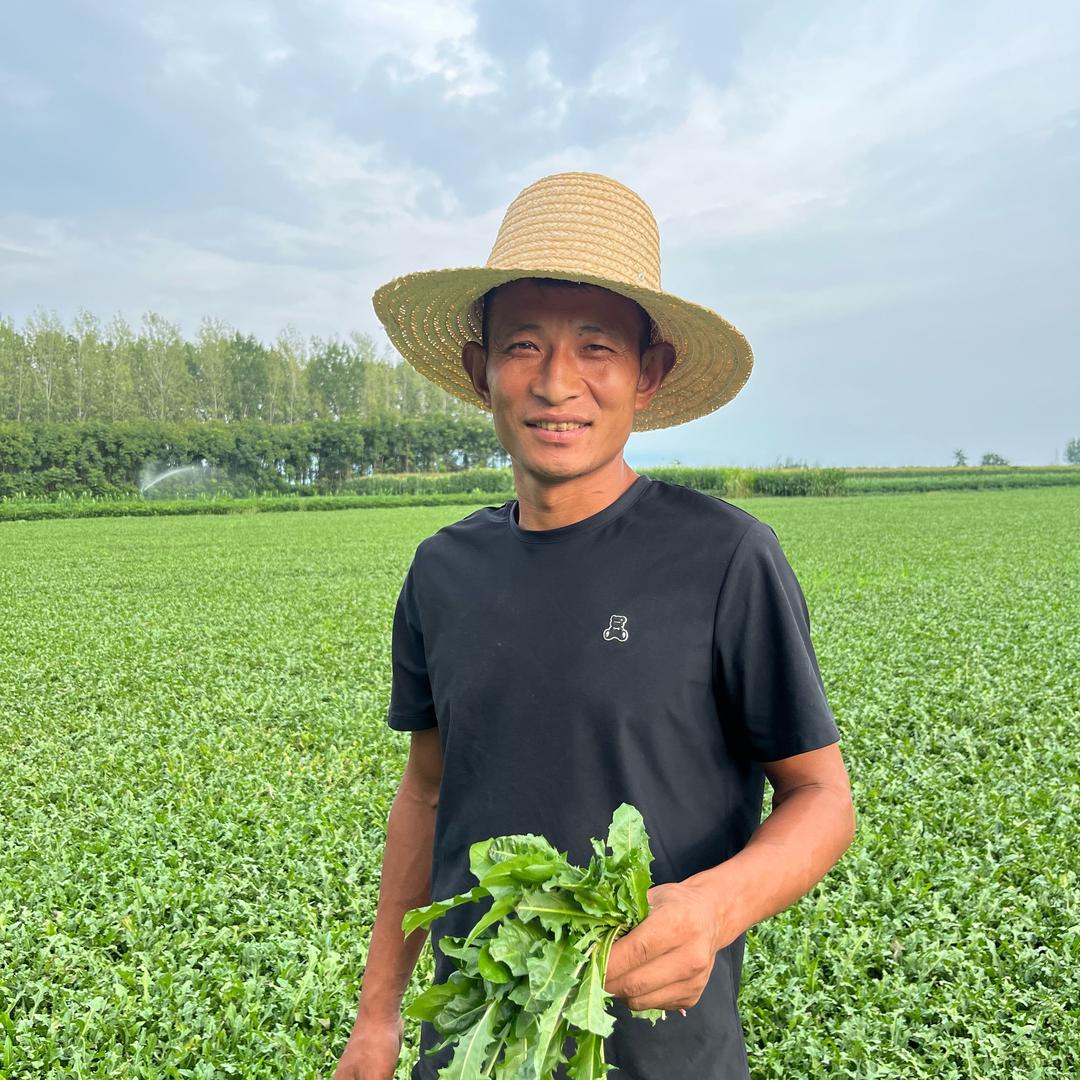 小潮（烘干蒲公英工厂）