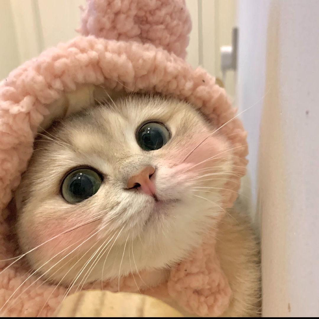 🌈晓萌