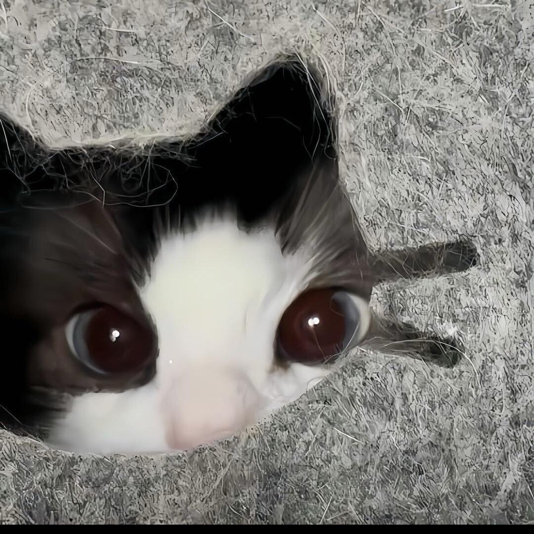 kki