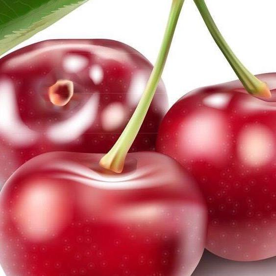 小樱桃🍒