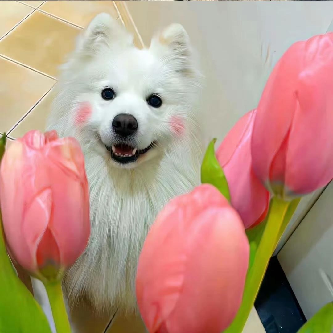 一只小鱼🧜‍♀️.