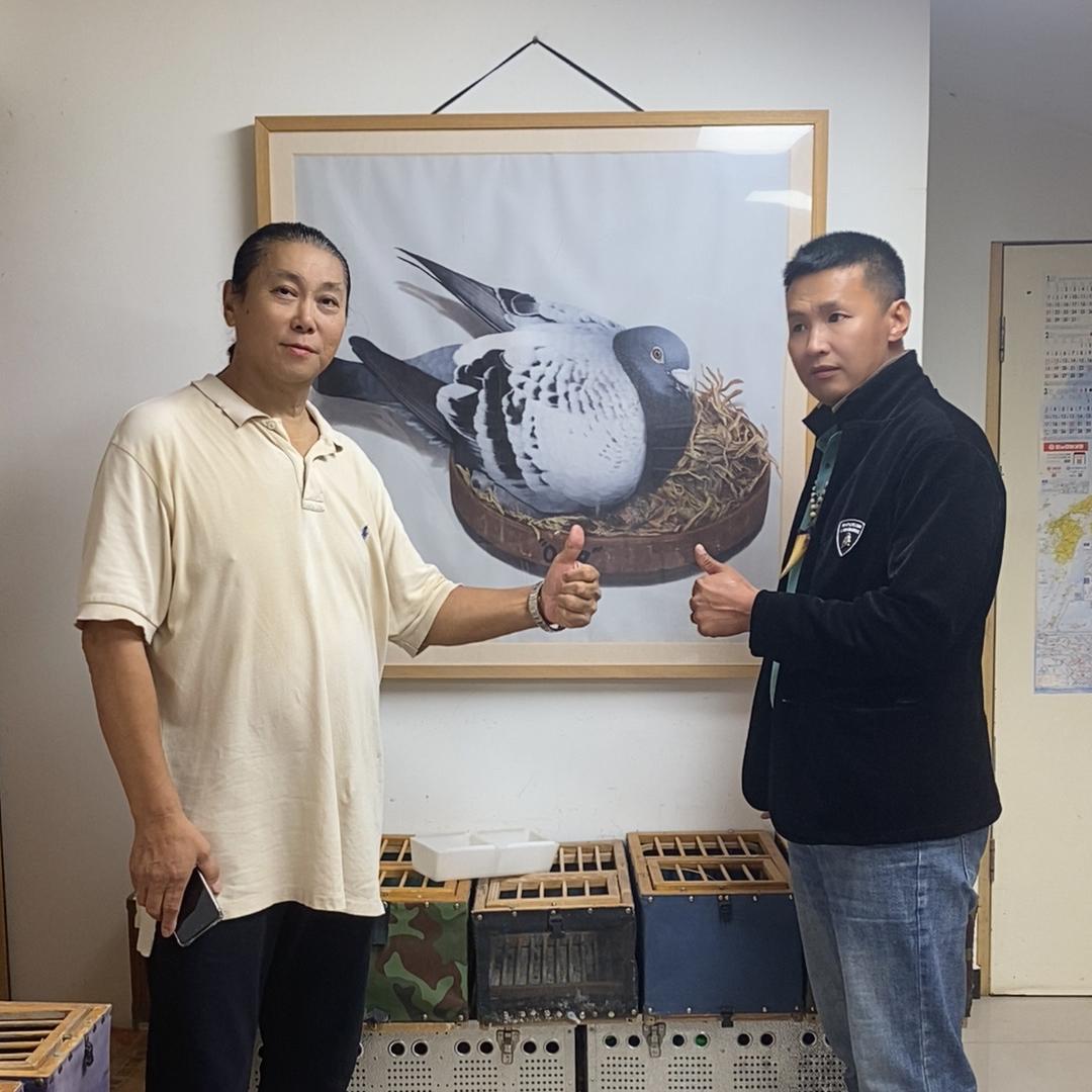 东子赛鸽公棚