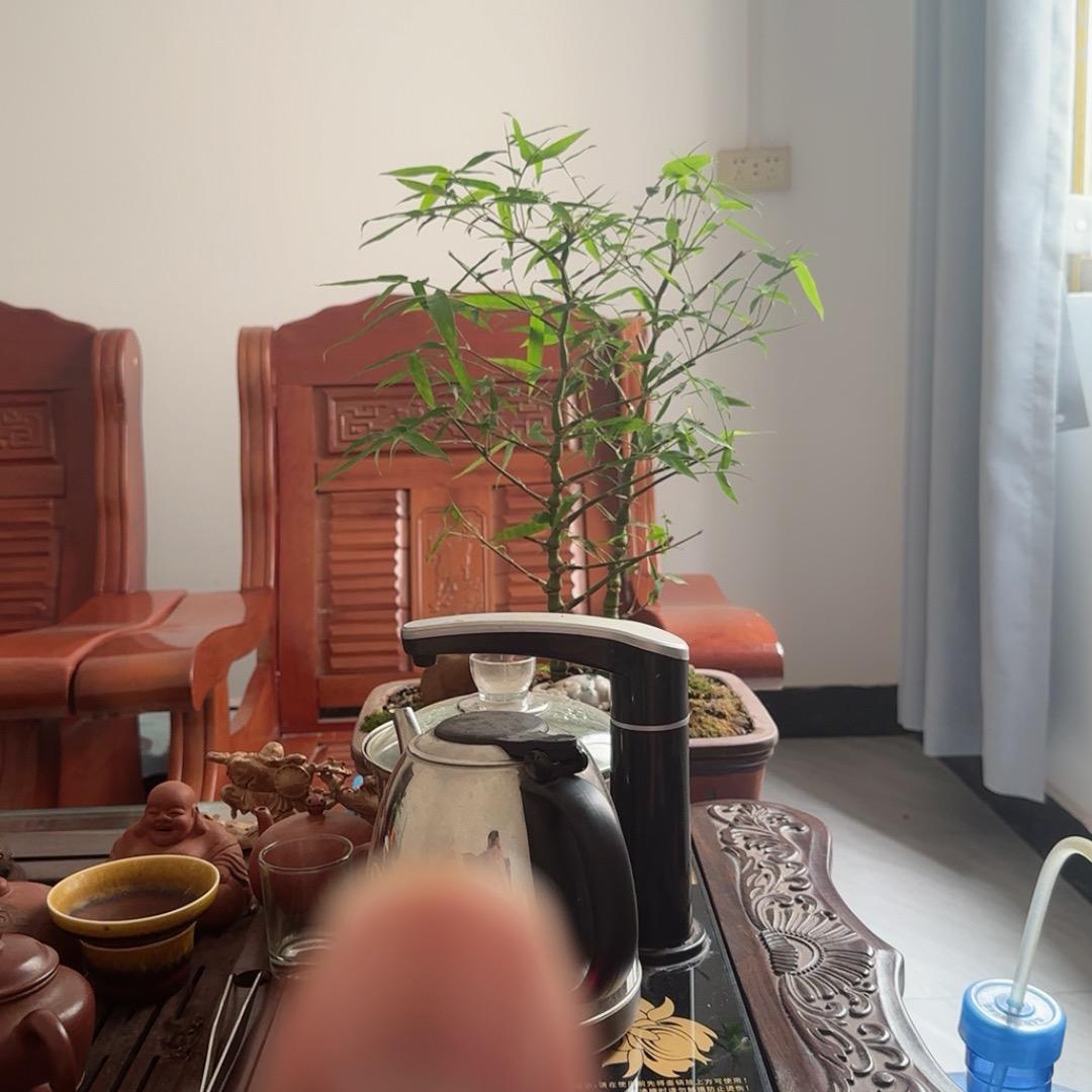 大州鸟类养殖场