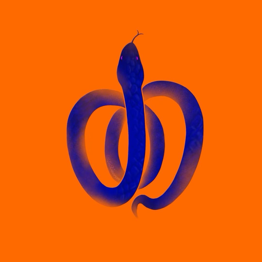 不爱骑车的丶玖伍