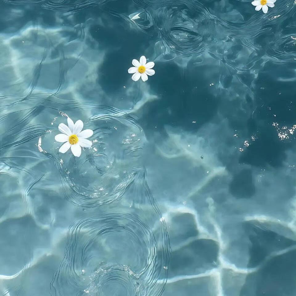 椰椰奶冻