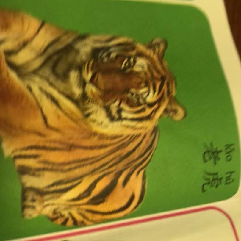 後輪愛上前輪丨