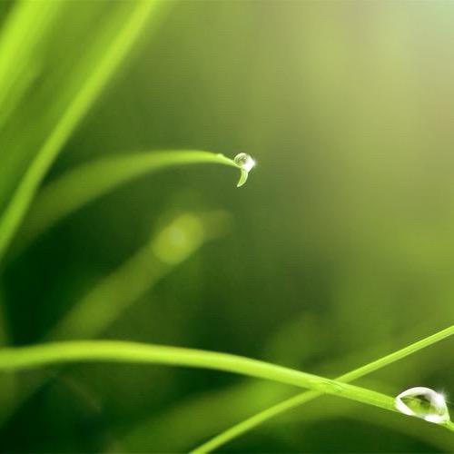 马儿奔的读书日记