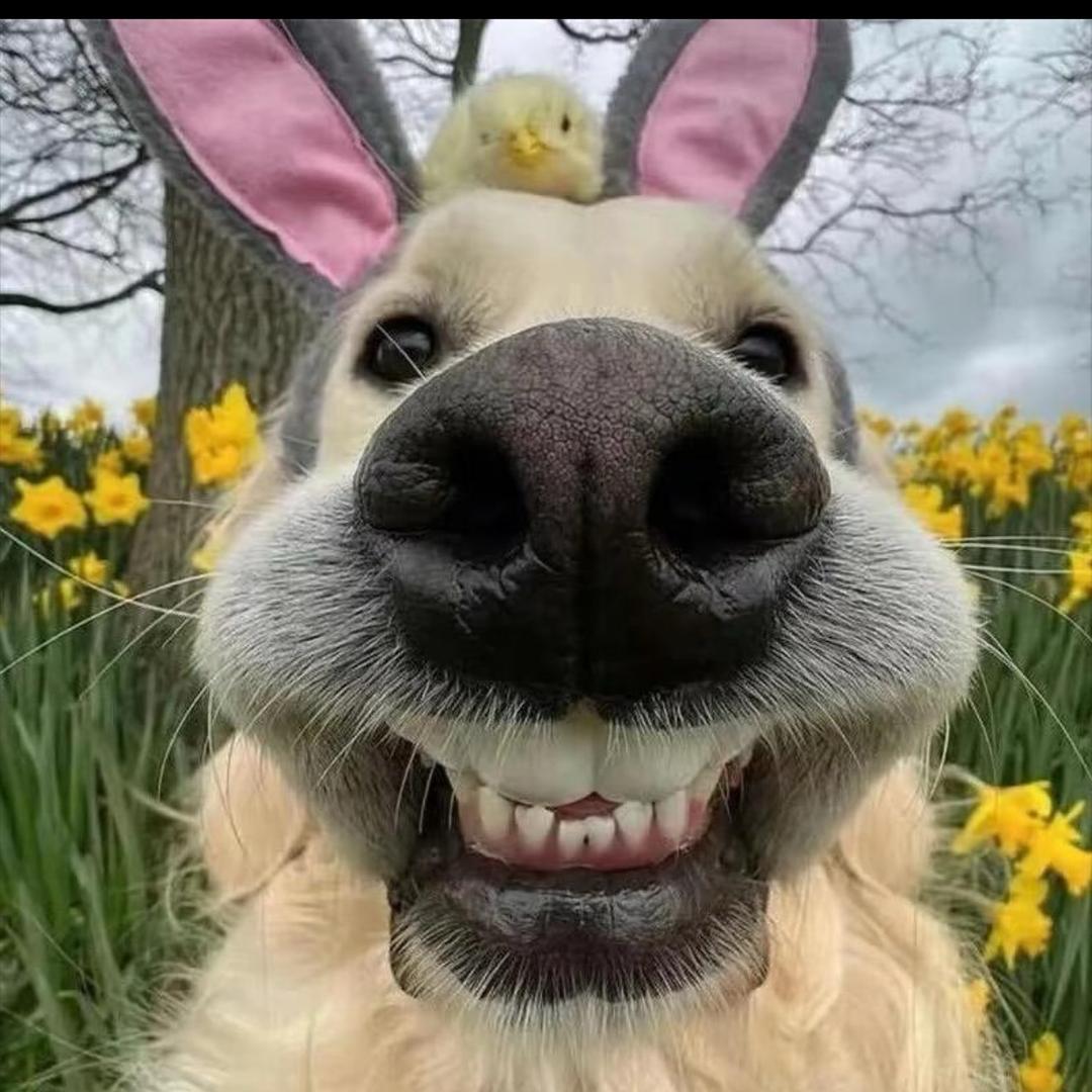 潇洒小王子💍💍