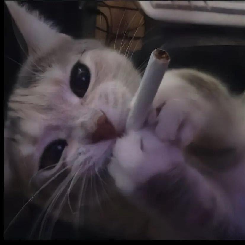 翟仁杰