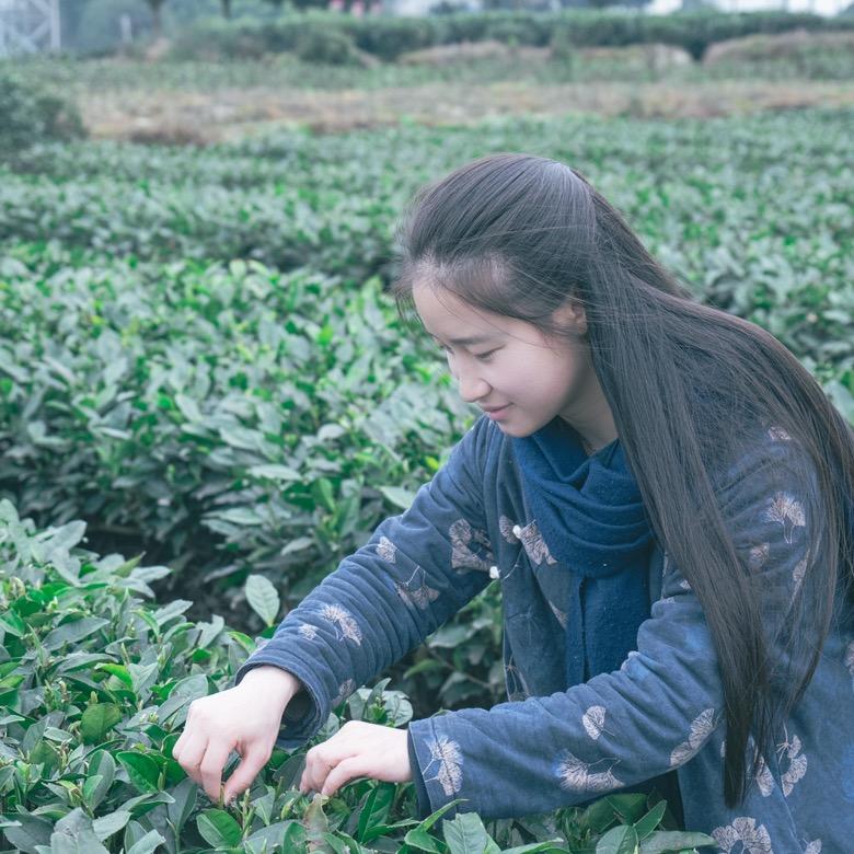 小小茶话馆