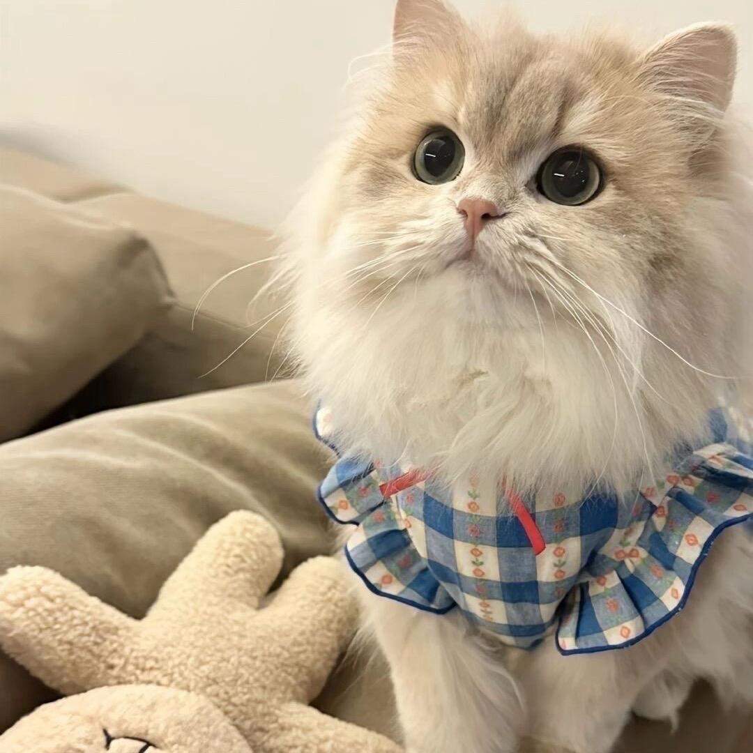 睡不着怎么办！