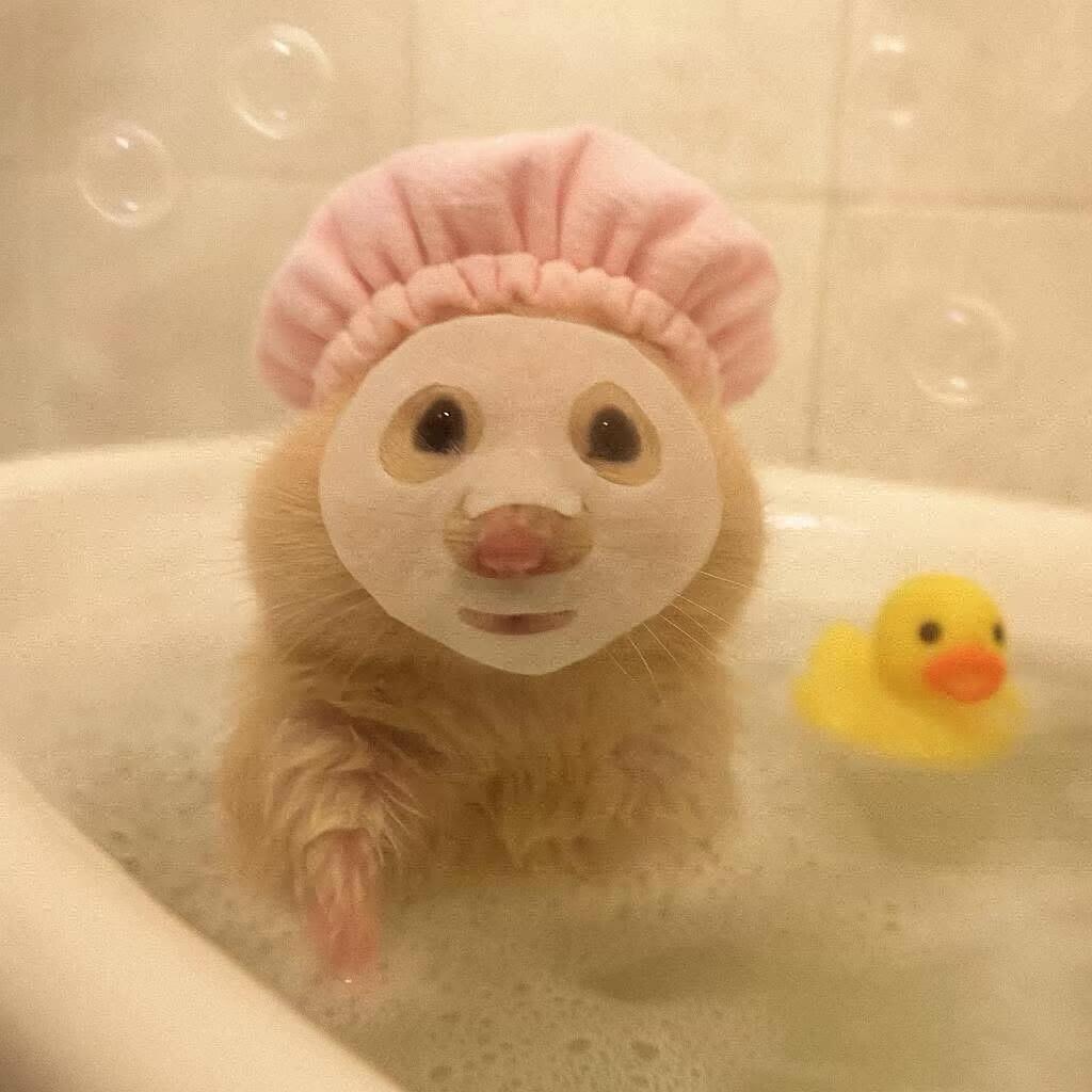 杀死碳水
