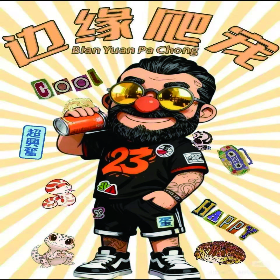 边缘爬宠宠物店