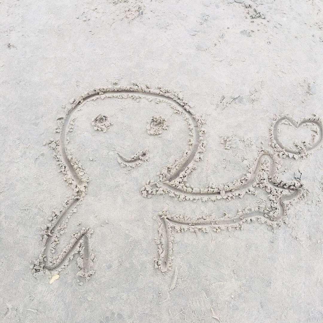 52212995865