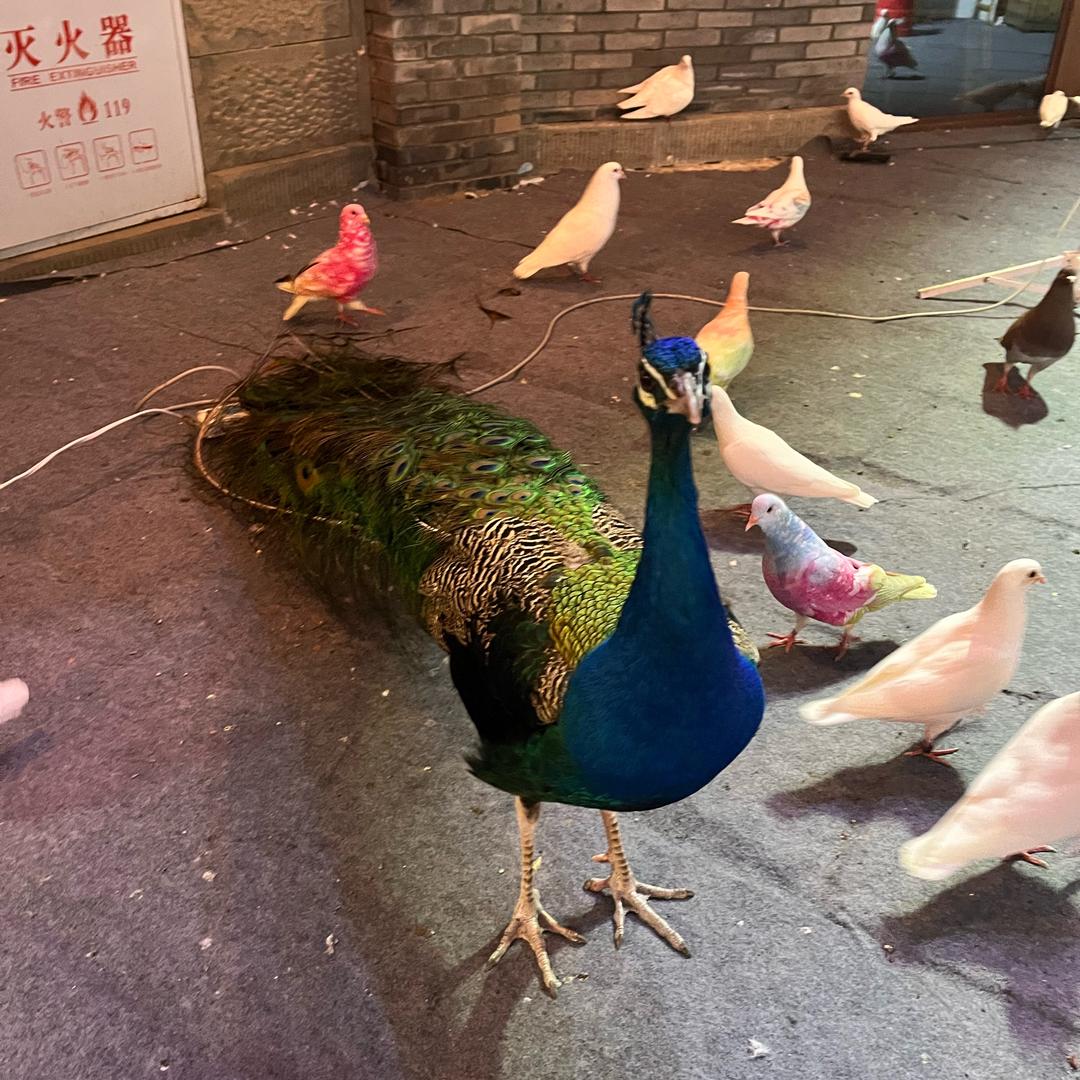 开心快乐