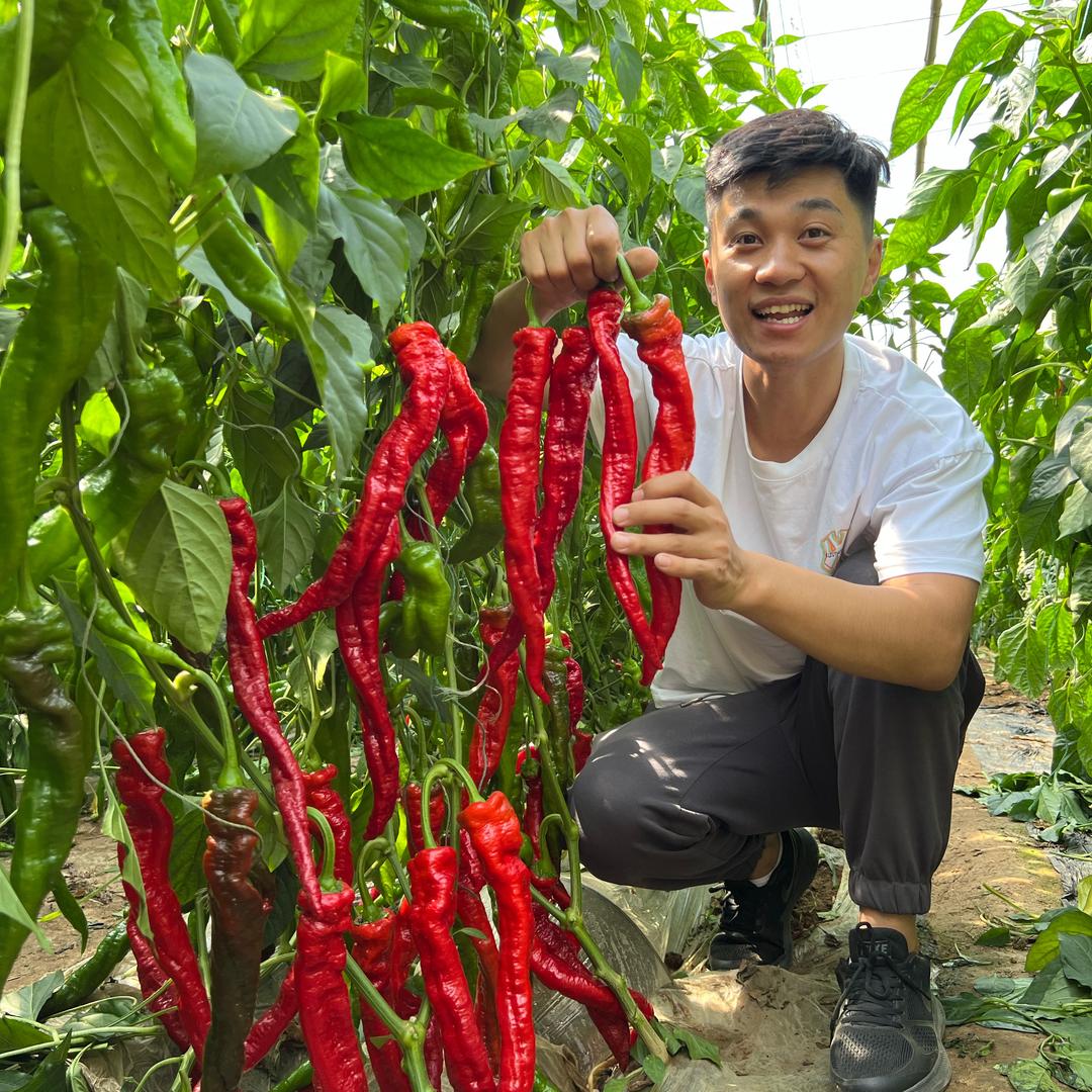 农业种植开心哥