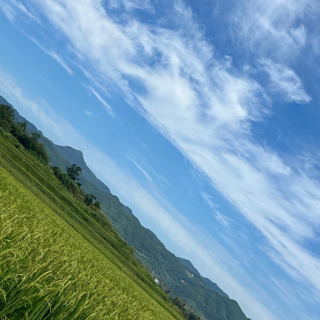 生性凉薄