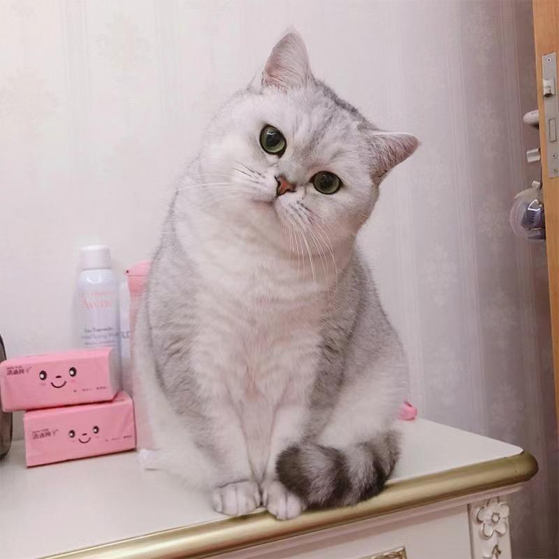 路还长……