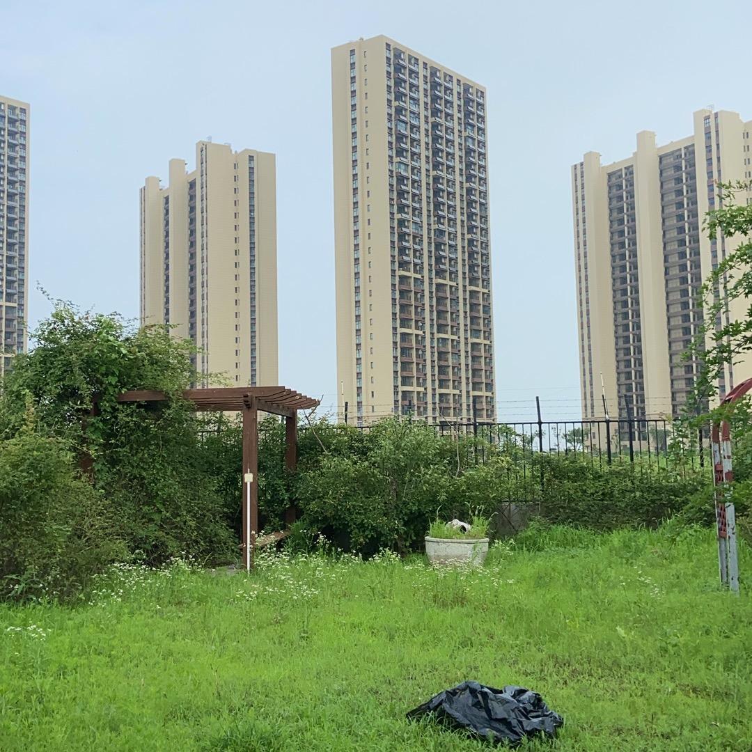 来粉丝群找哦