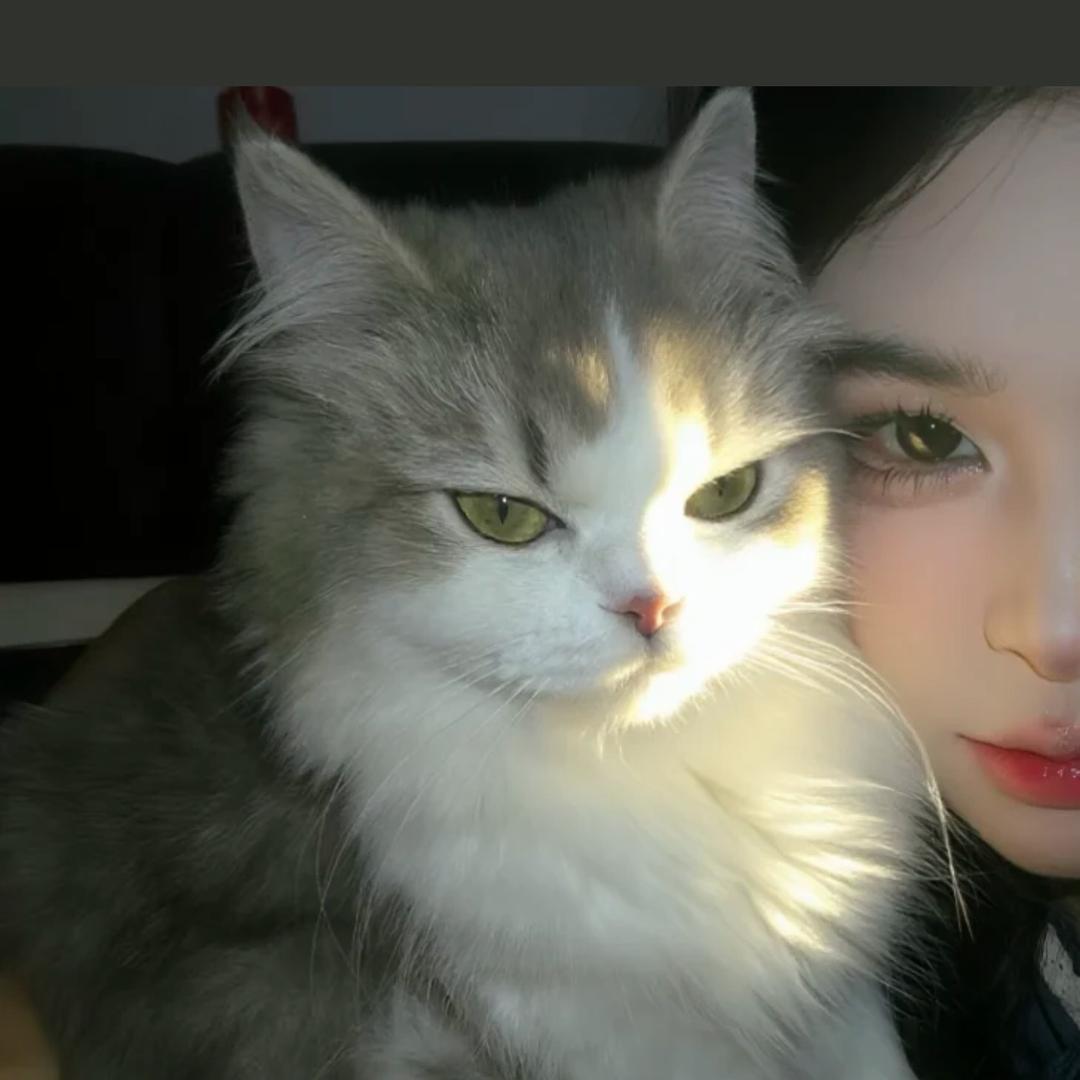 发财