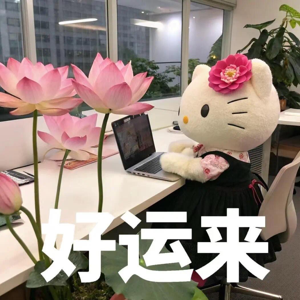 Choco猫猫🐱