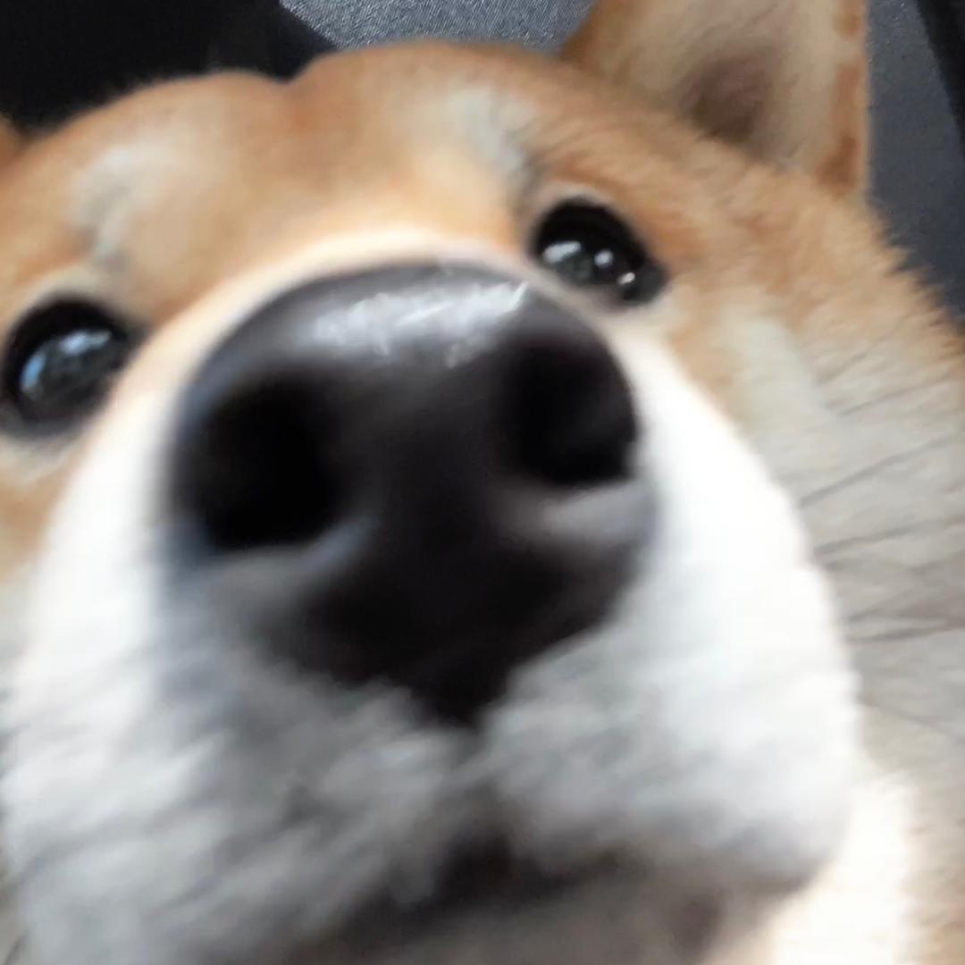 祥和