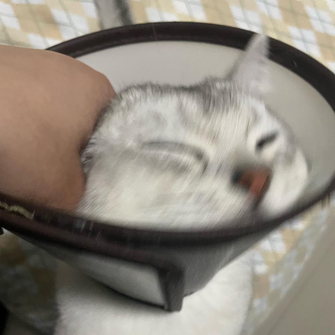 醒醒不想醒头像