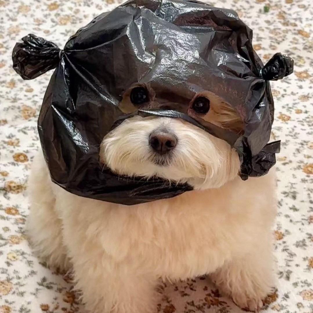 pu