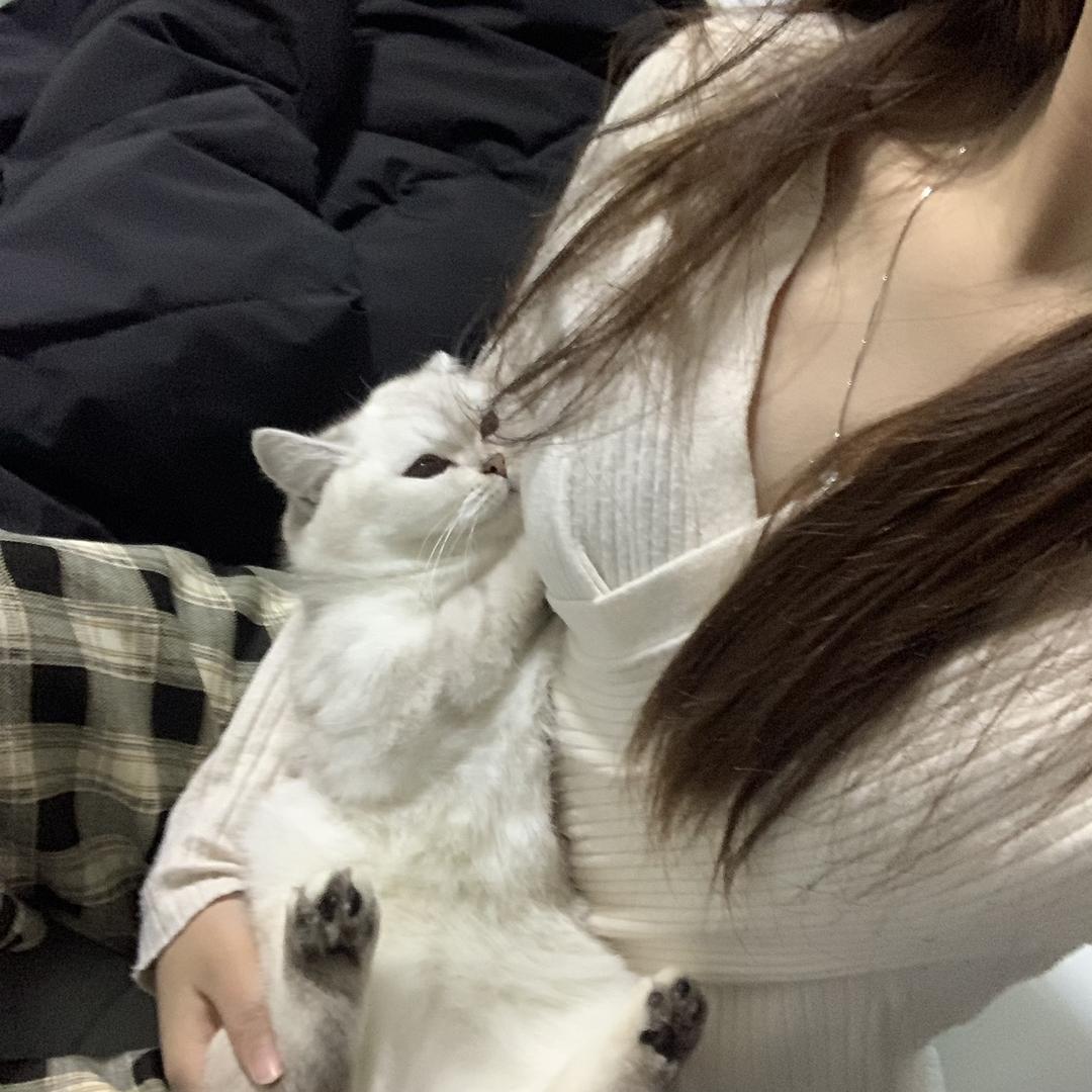 卤蛋