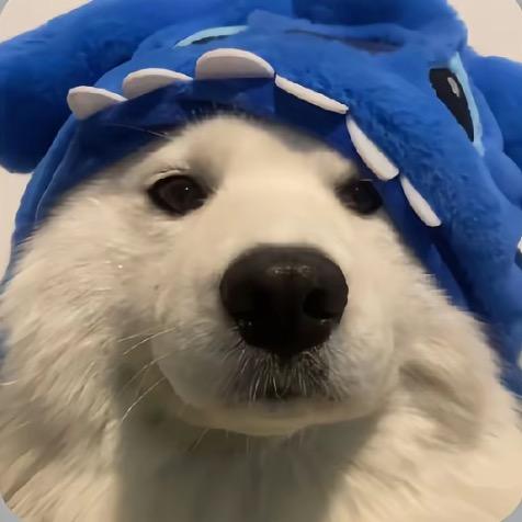 魚魚