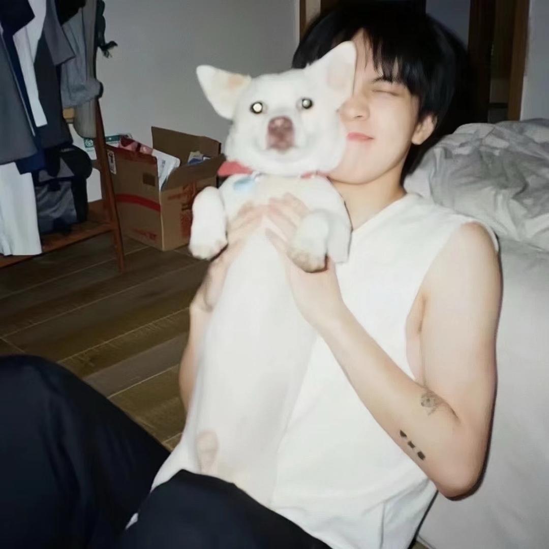 净化一下心灵吧