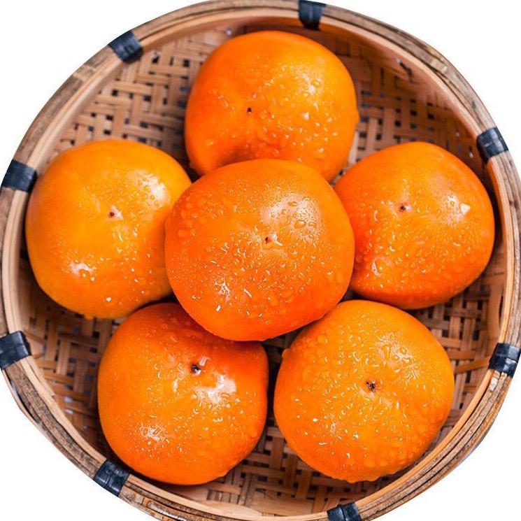 橘子味美眉