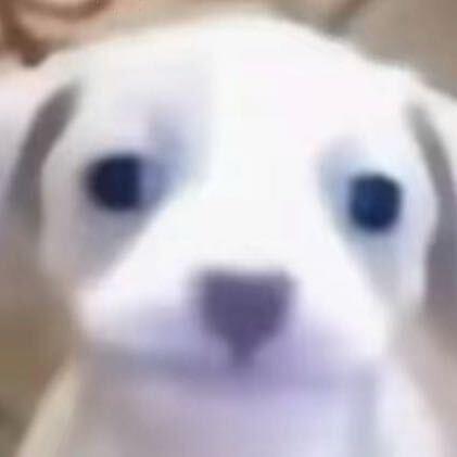 龙眼核