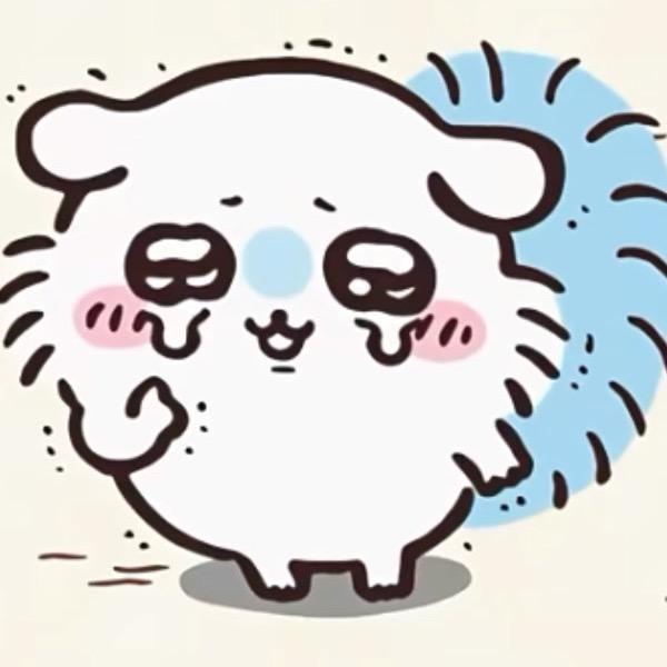 风华绝代皮皮猫