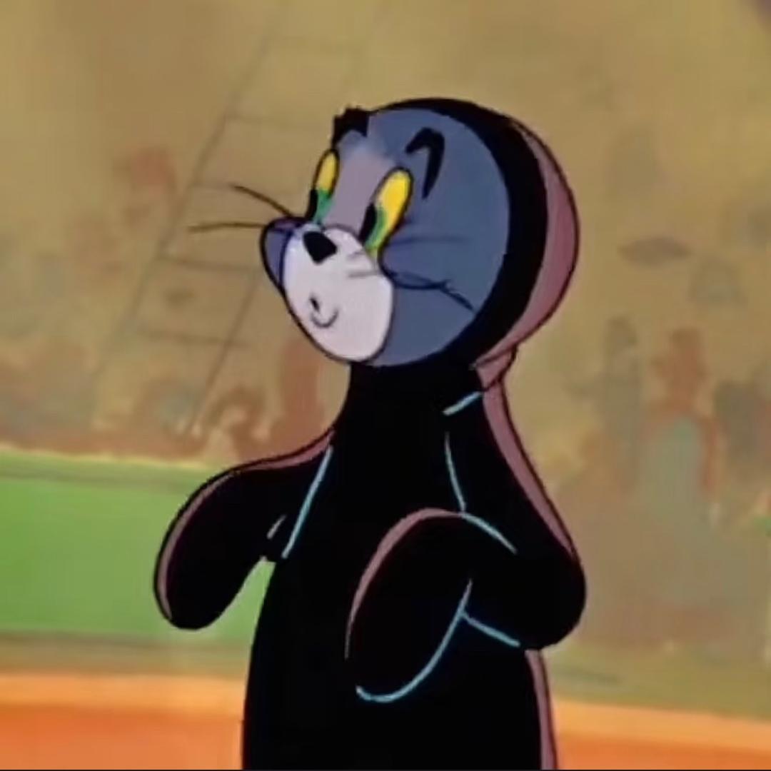 小梅梨猫（爱玩海克斯乱斗版